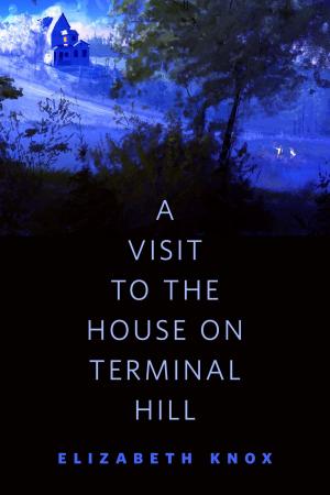 Cover of the book A Visit to the House on Terminal Hill by Rish Outfield