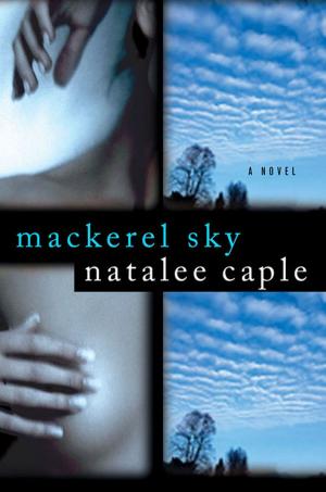 Cover of the book Mackerel Sky by Rett MacPherson