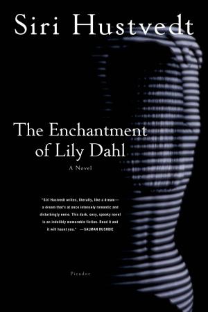 Book cover of The Enchantment of Lily Dahl