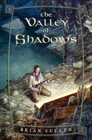 Cover of the book The Valley of Shadows by E.M. Sinclair