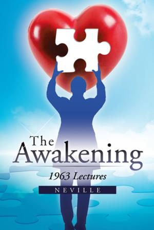 Cover of the book The Awakening by D.H. Olsen