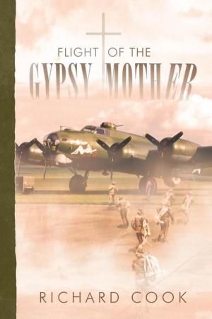 Cover of the book Flight of the Gypsy Mother by Jean Schweizer Ph.D.