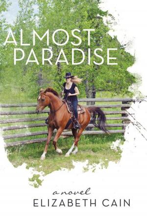 Cover of the book Almost Paradise by Ian McFarlane
