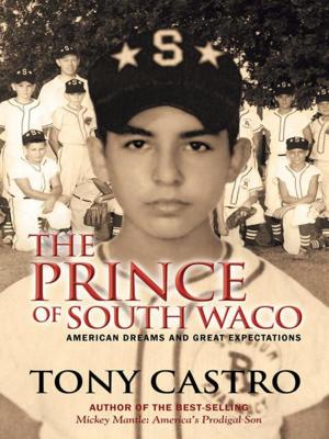 Book cover of The Prince of South Waco