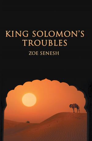 Cover of the book King Solomon’s Troubles by Elvia Duque Castillo