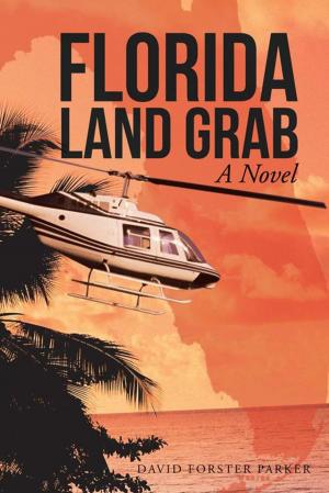 Cover of the book Florida Land Grab by Ella Karia Ed.D.