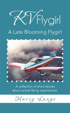 Cover of the book Rv Flygirl by John P. Roche PHD, Kathleen J. Roche MS
