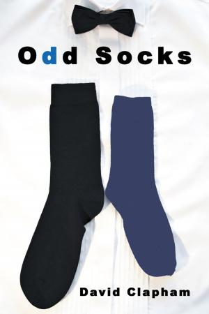 Cover of the book Odd Socks by Alfredo Tercero Estrada