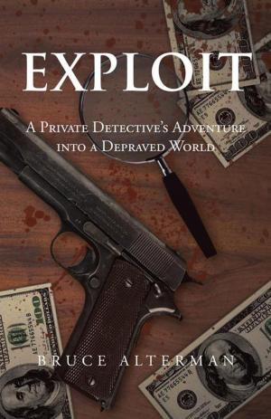 Cover of the book Exploit by Jeff Johnson