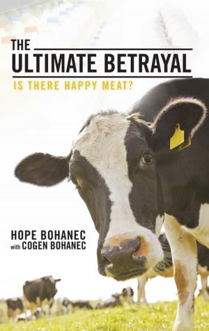 Cover of the book The Ultimate Betrayal by Howard Allen Losness