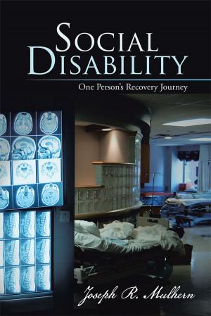 Cover of the book Social Disability by Elizabeth Elwood