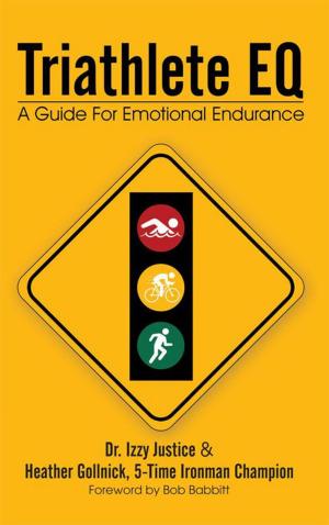 Book cover of Triathlete Eq