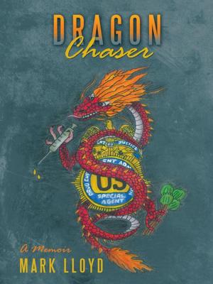 Cover of the book Dragon Chaser by Jeff Jacobs
