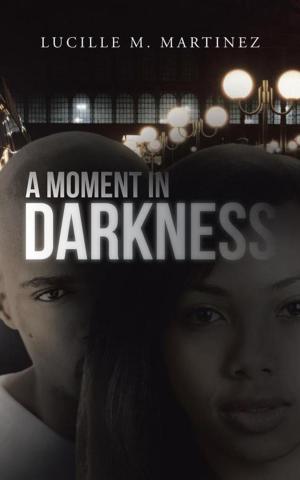 Cover of the book A Moment in Darkness by Jena C. Henry