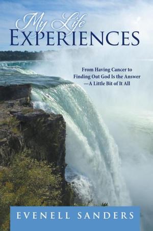 Cover of the book My Life Experiences by Karen Molenaar Terrell