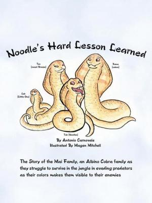 Book cover of Noodle's Hard Lesson Learned