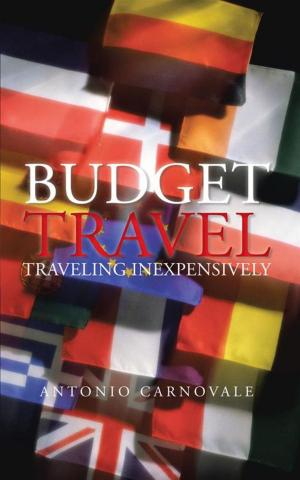 Cover of the book Budget Travel by M. L. Becker