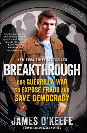 Cover of the book Breakthrough by Jerome R. Corsi, Ph.D.