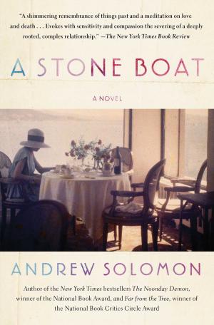 Cover of the book A Stone Boat by Giorgio Aldo Maccaroni