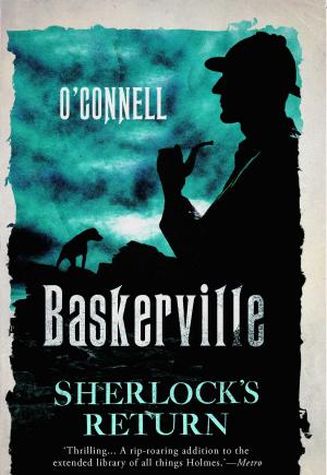 Cover of the book Baskerville by Joseph Sebarenzi