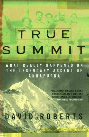 Cover of the book True Summit by John Biggar