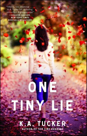 Cover of the book One Tiny Lie by Cristina Pérez