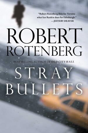 Book cover of Stray Bullets