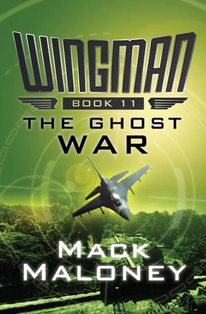 Cover of the book The Ghost War by David Lipsky