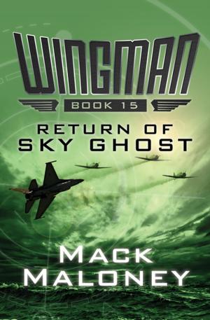 Cover of the book Return of Sky Ghost by Caroline B. Cooney