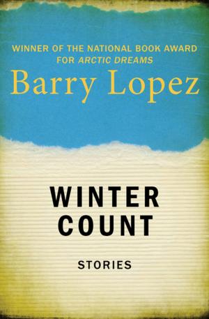 bigCover of the book Winter Count by 