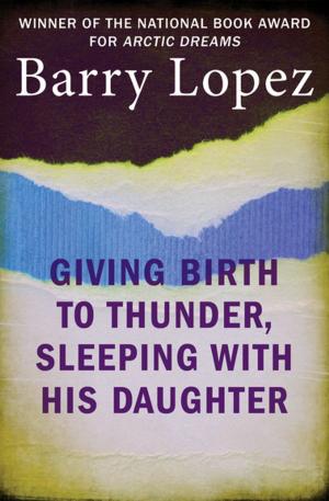 Cover of the book Giving Birth to Thunder, Sleeping with His Daughter by Patrick Gale