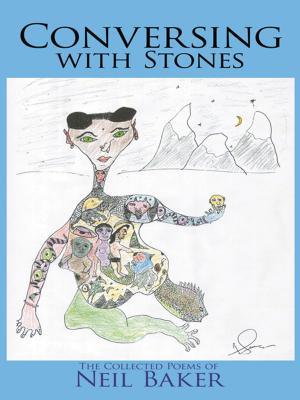 Book cover of Conversing with Stones