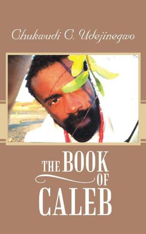 Cover of the book The Book of Caleb by Stephani Magdalene, John E. Mott Jr