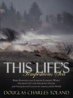 Cover of the book This Life's Tempestuous Sea by Reva Spiro Luxenberg