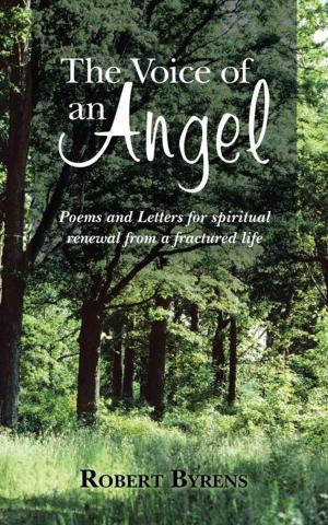 Cover of the book The Voice of an Angel by Andrew Chavez