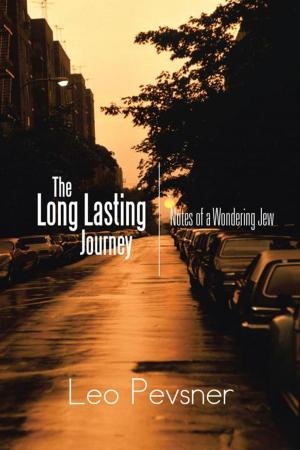 Cover of the book The Long Lasting Journey by Michael Mourning