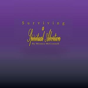 Cover of the book Surviving a Spiritual Abortion by Jon Steinberg