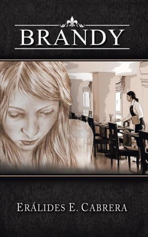 Cover of the book Brandy by Bonnie Howell-Lutton