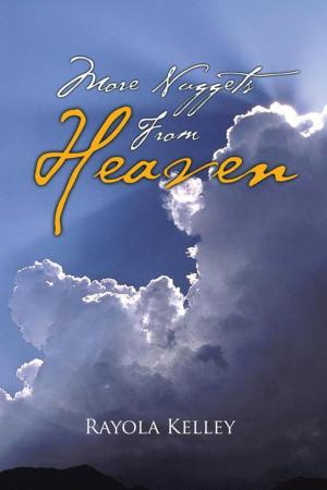Cover of the book More Nuggets from Heaven by Lady jammie Desiree