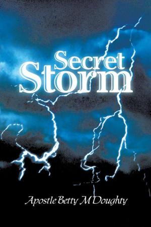 Cover of the book Secret Storm by Monica Hawkins Ph.D. M.P.H.