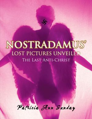 Book cover of Nostradamus' Lost Pictures Unveiled
