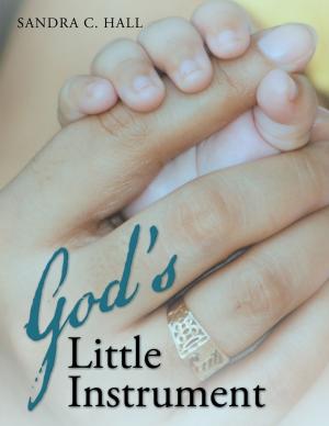 Cover of the book God's Little Instrument by Donald A. Dahlin D.C.