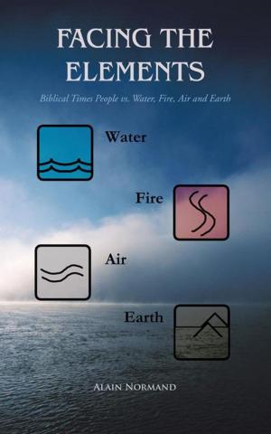 Cover of the book Facing the Elements by Danny Brumbelow