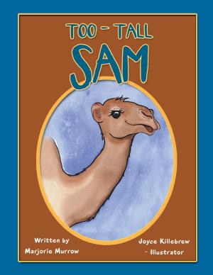 Book cover of Too-Tall Sam
