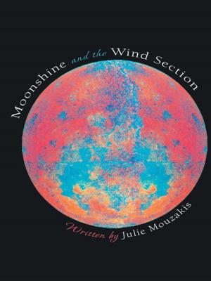 Cover of the book Moonshine and the Wind Section by Mattia Lajuan Harris