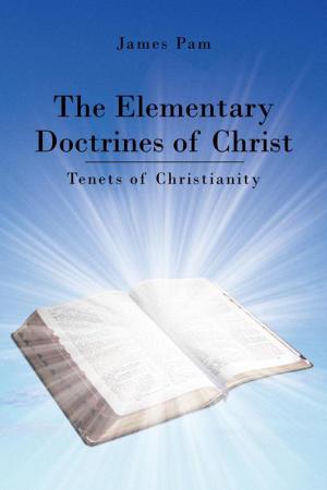 Cover of the book The Elementary Doctrines of Christ by Eric Elfmar, Scott Griffiths