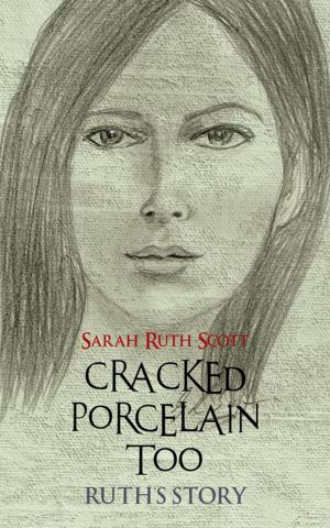 Cover of the book Cracked Porcelain Too by P.M. SABIN MOORE