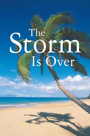 bigCover of the book The Storm Is Over by 