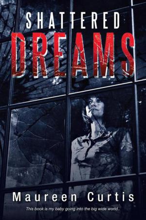 Cover of the book Shattered Dreams by Sulaimon Ibitoye