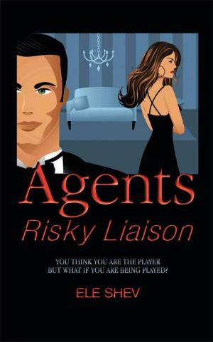 Cover of the book Agents Risky Liaison by Saroor Sarao